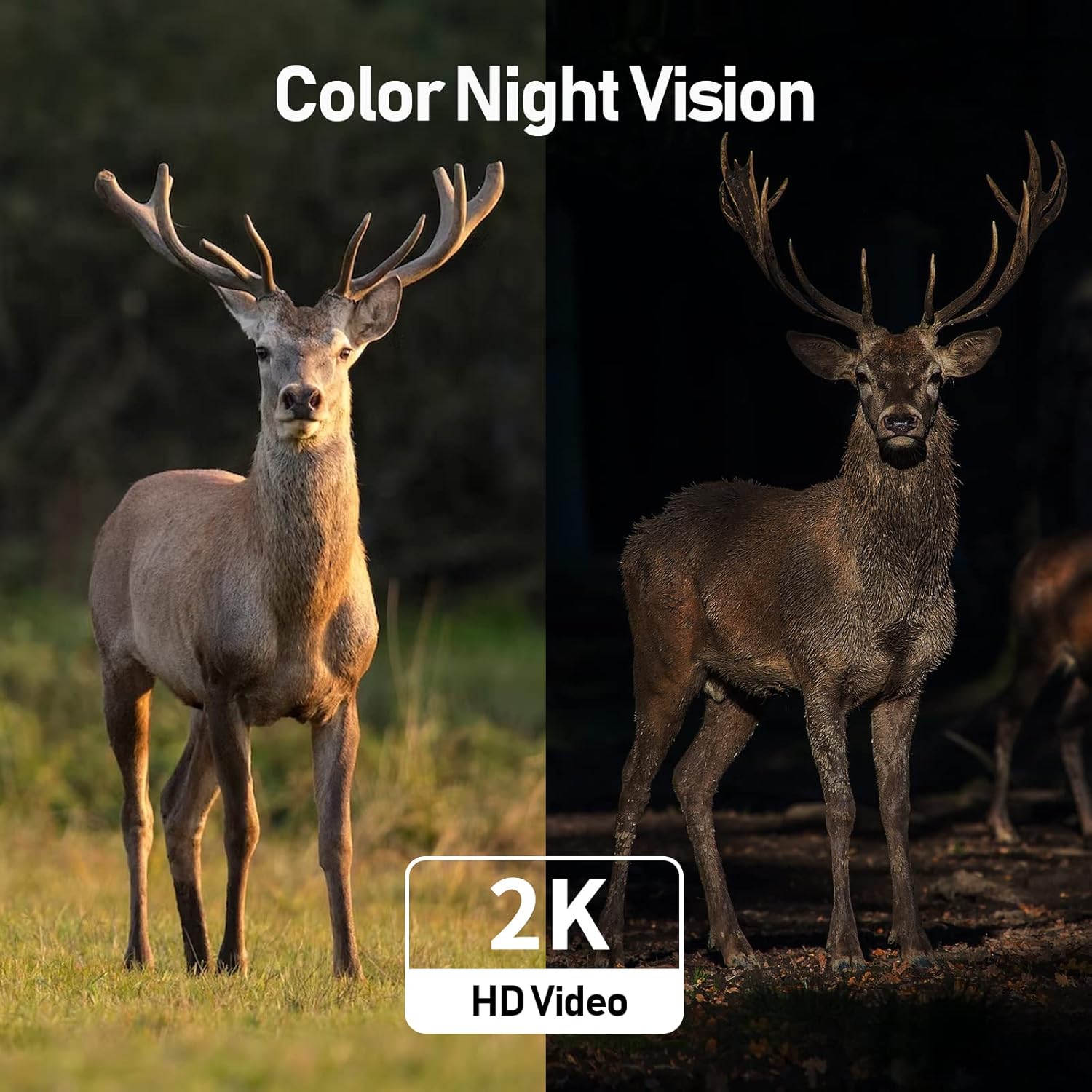 SEHMUA 4G LTE Cellular Solar Security Camera Wireless Outdoor, No WiFi Solar Powered Camera, 360° Live View, 2K Color Night Vision, PIR Motion Sensor, 2 Way Talk, Built in SIM Card - Image 7